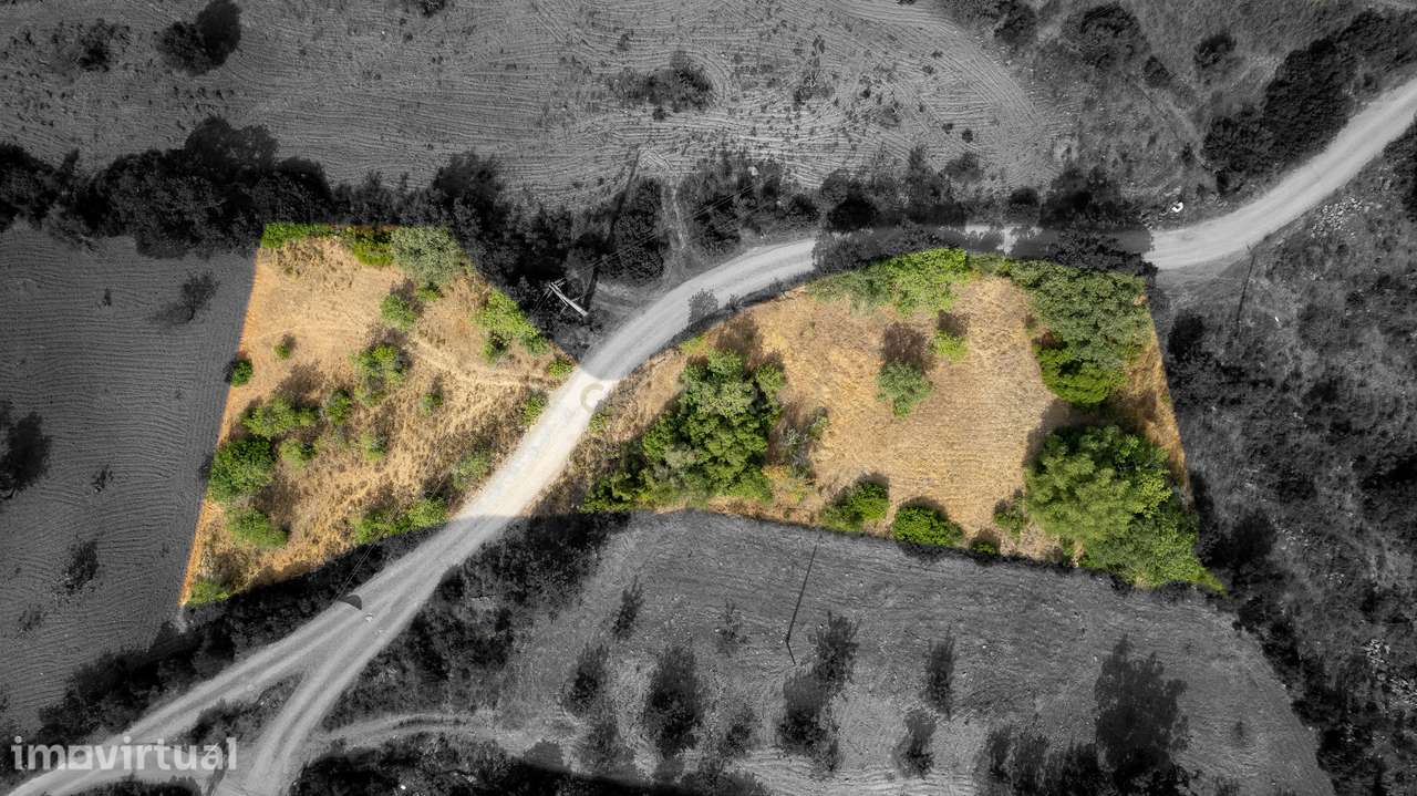 Terreno Rústico de 2.660 m² entre Pechão e Estoi - Grande imagem: 5/10