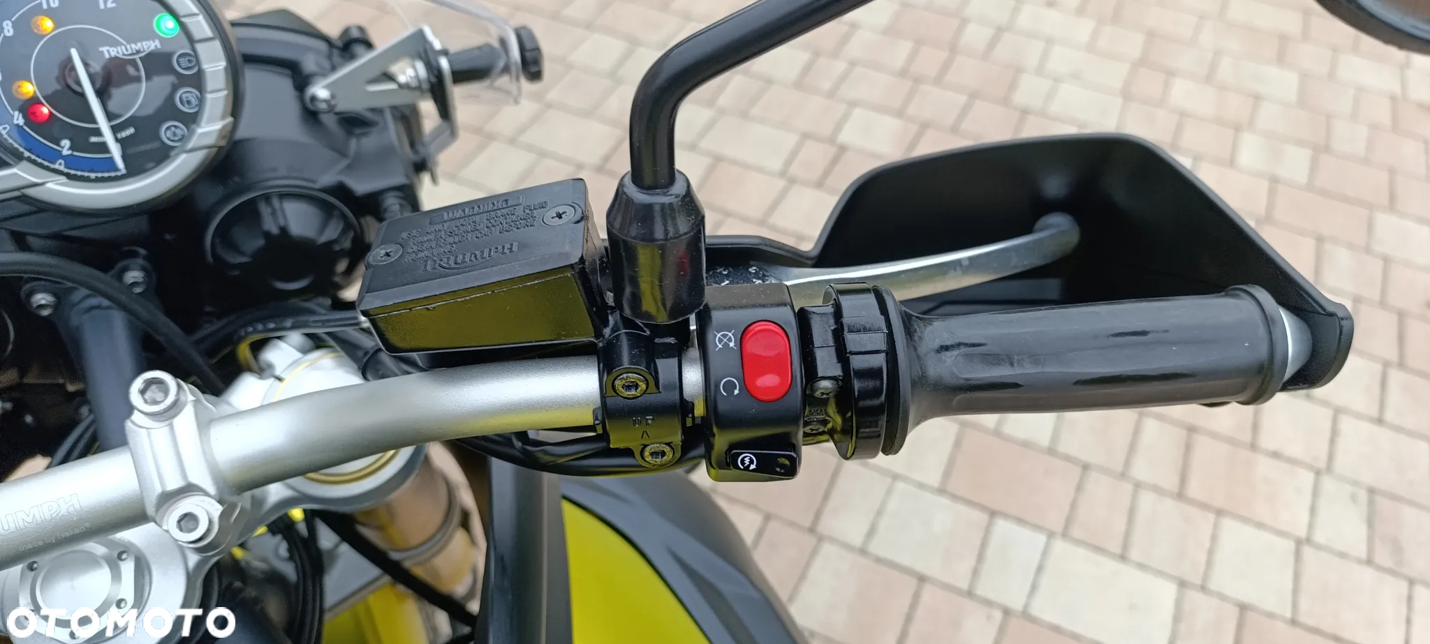 Triumph Tiger - 12