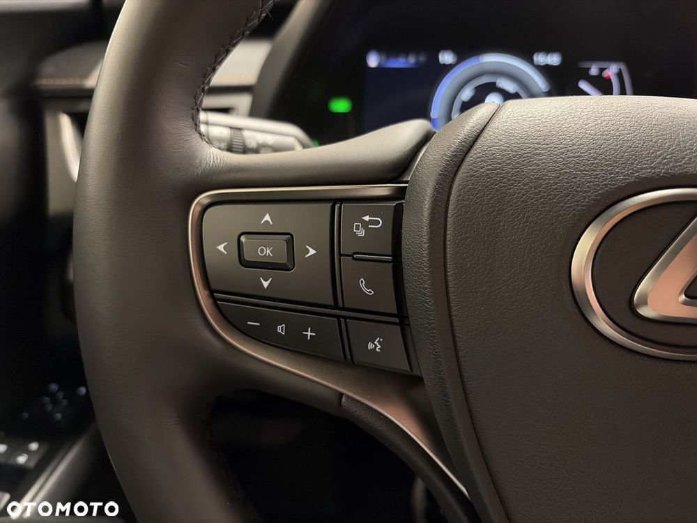 Lexus UX 250h GPF F Sport Design 2WD - 13