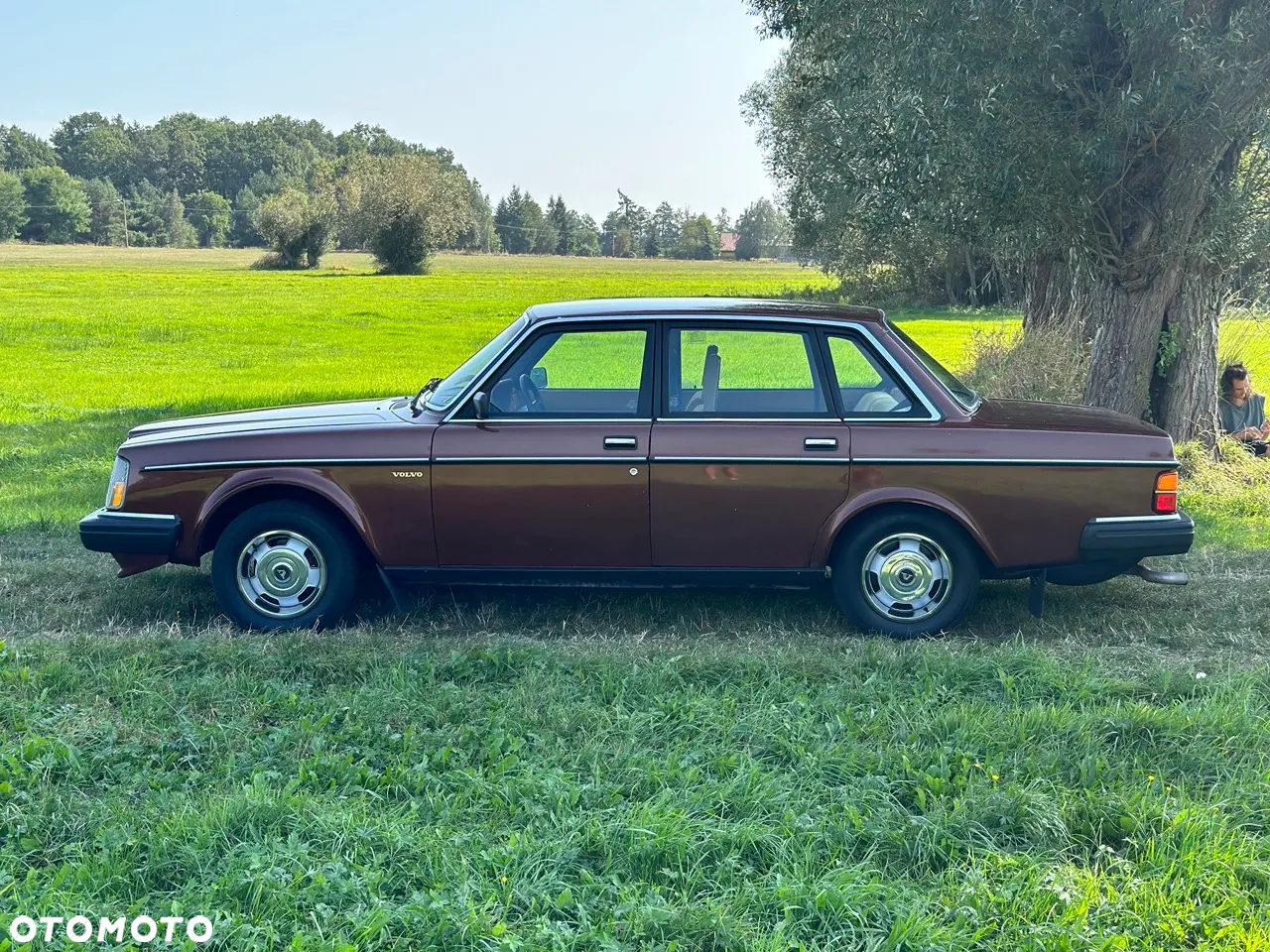 Volvo Seria 200 - 11