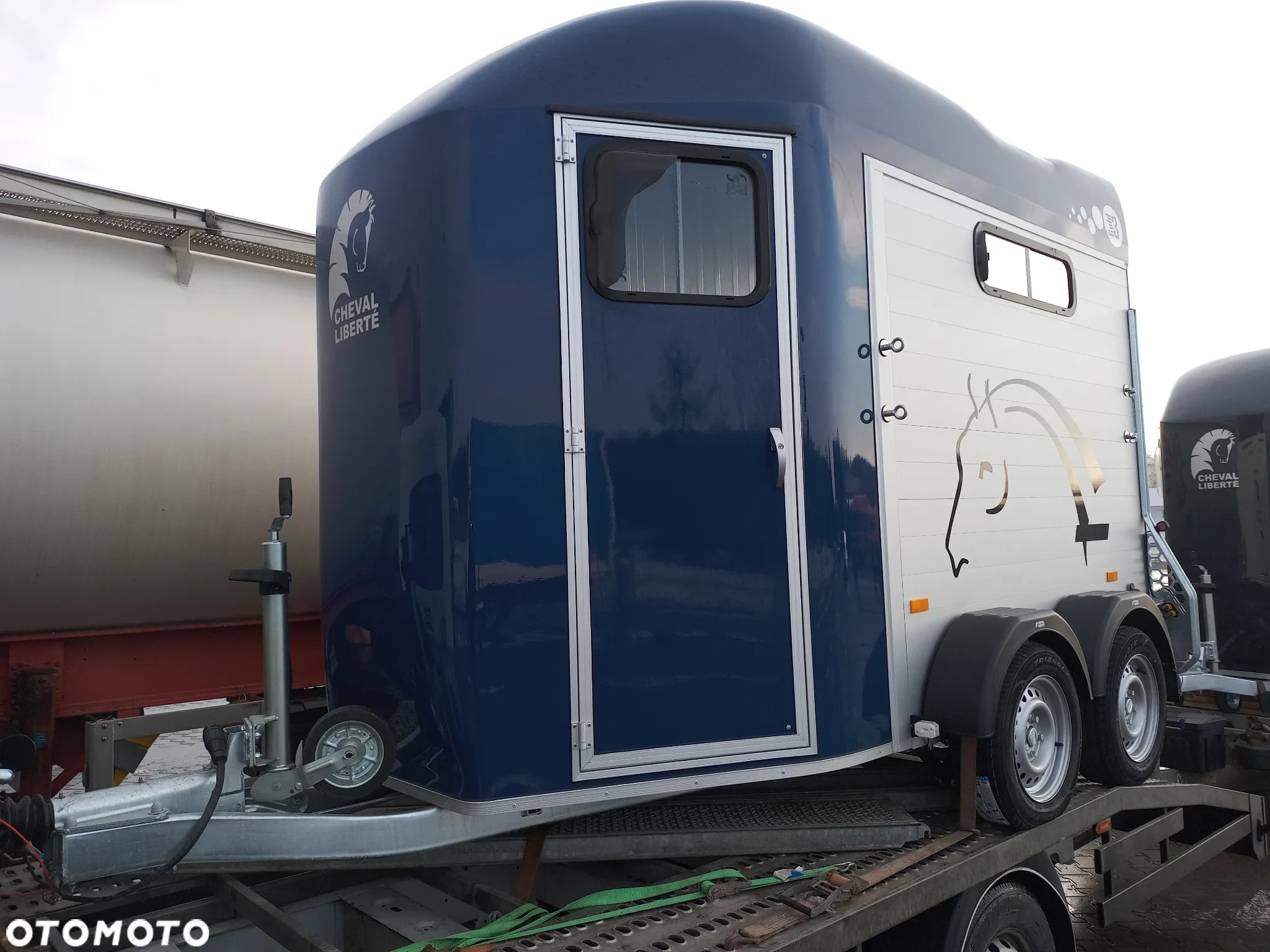 Cheval Liberte Gold III - 15