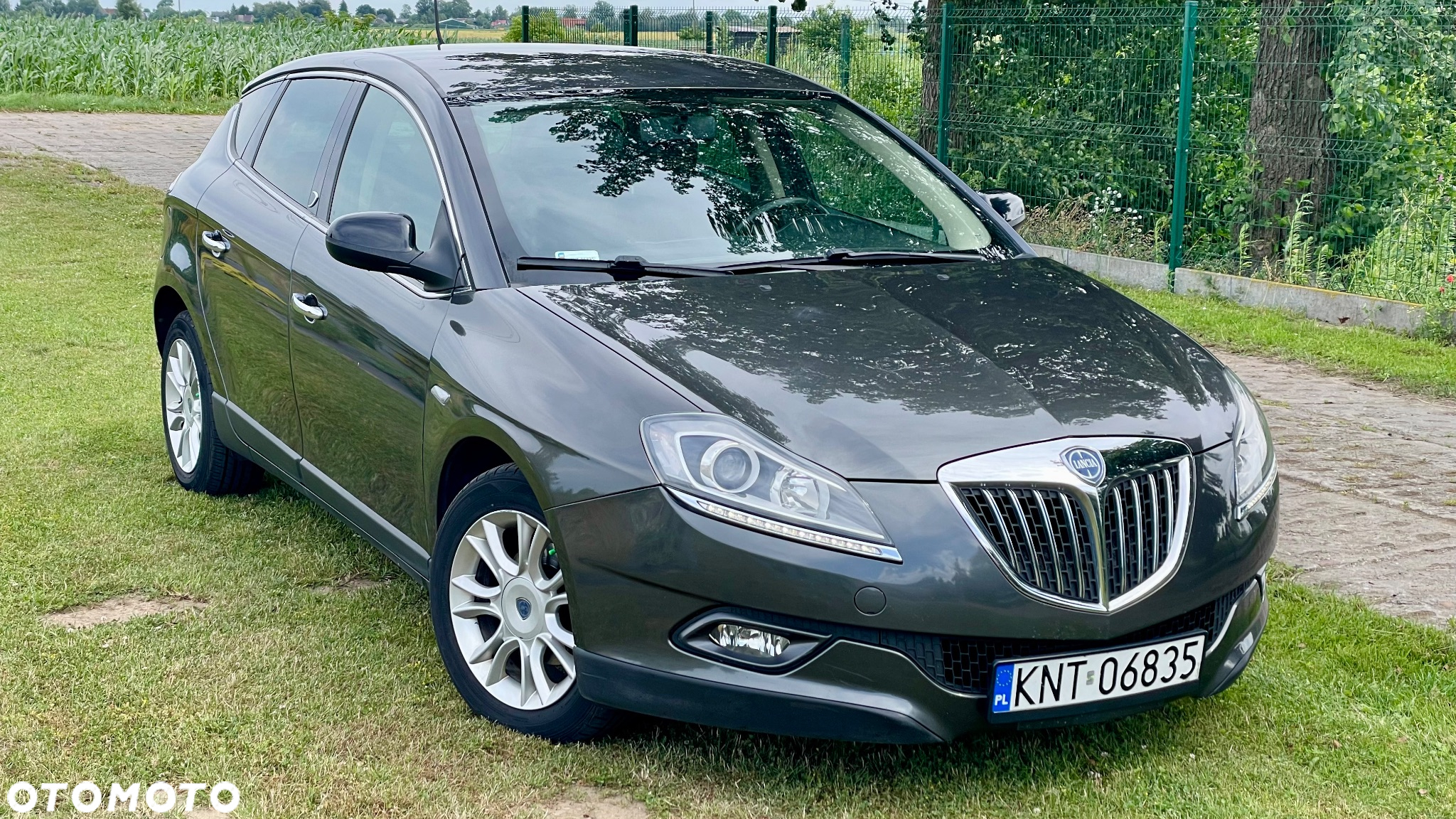 Lancia Delta 1.6 MJ Oro - 9