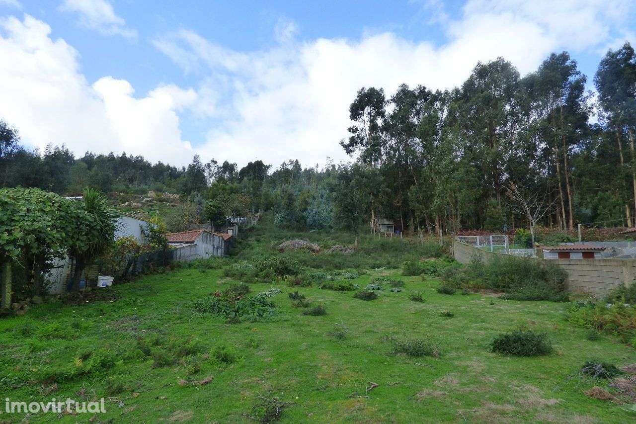 Terreno para construção em Roriz - Grande imagem: 3/4