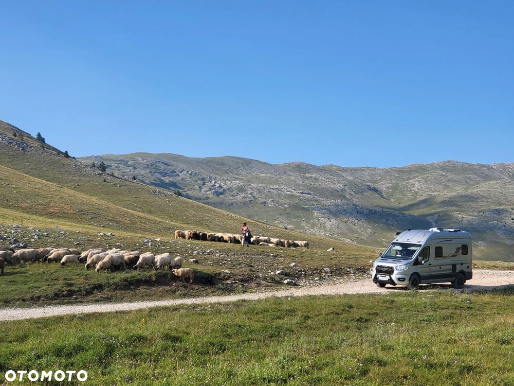 Ford Transit - 17