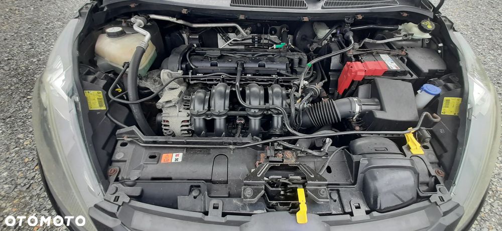 Ford Fiesta - 35