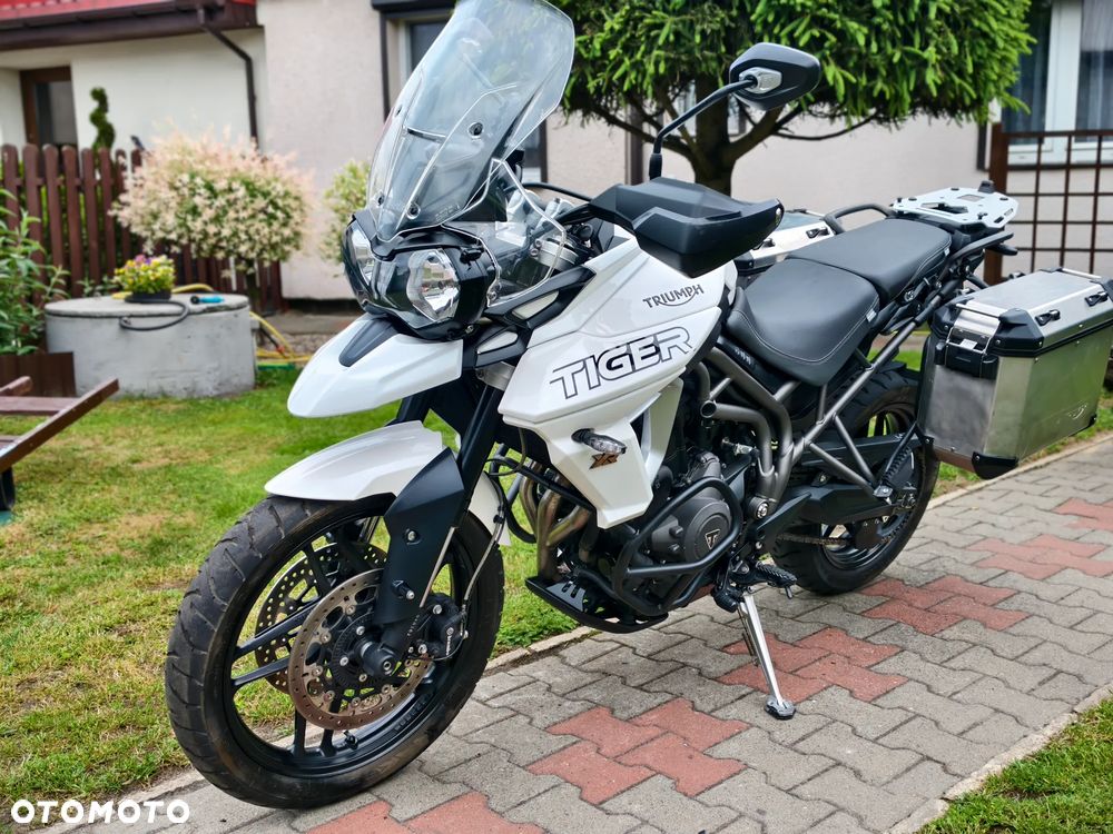 Triumph Tiger - 18
