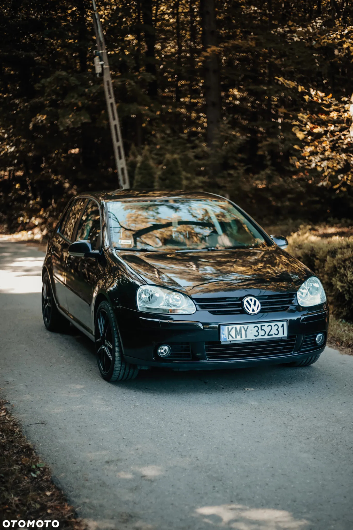 Volkswagen Golf - 3