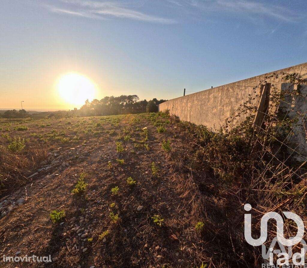 Terreno em Mafra - Grande imagem: 3/15