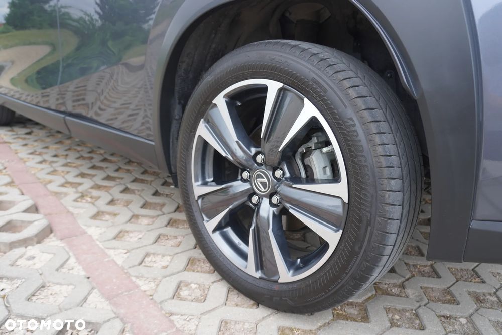 Lexus UX 250h GPF Business Edition 2WD - 10