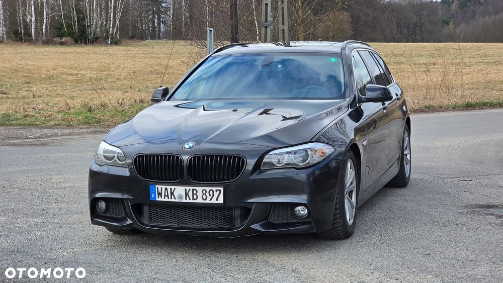BMW Seria 5 520d Blue Performance - 29