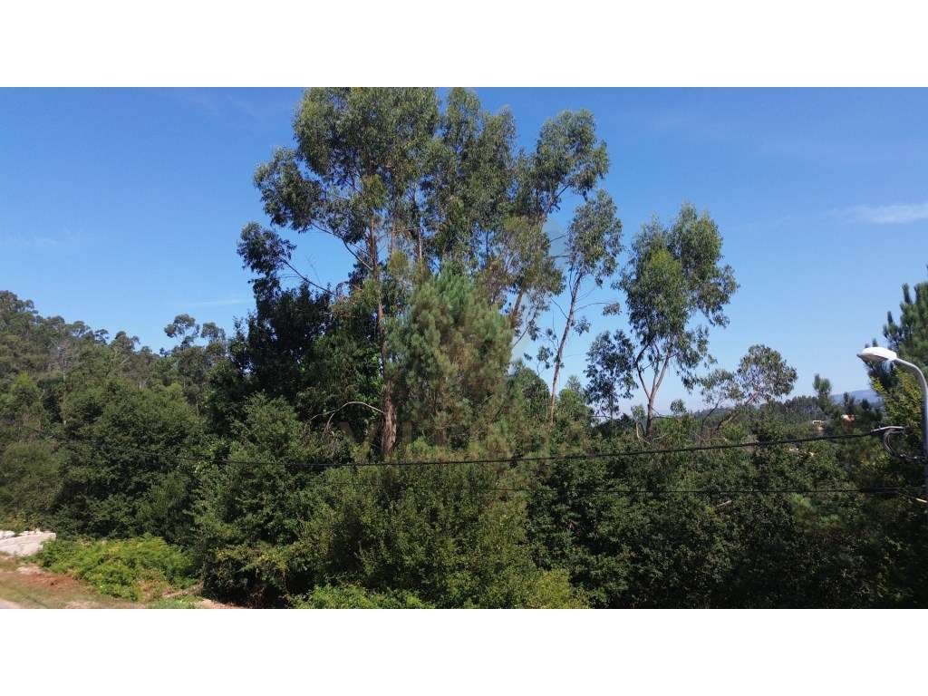 Terreno 4 086 m² - Rebordões Santa Maria - Ponte de Lima - Grande imagem: 2/9