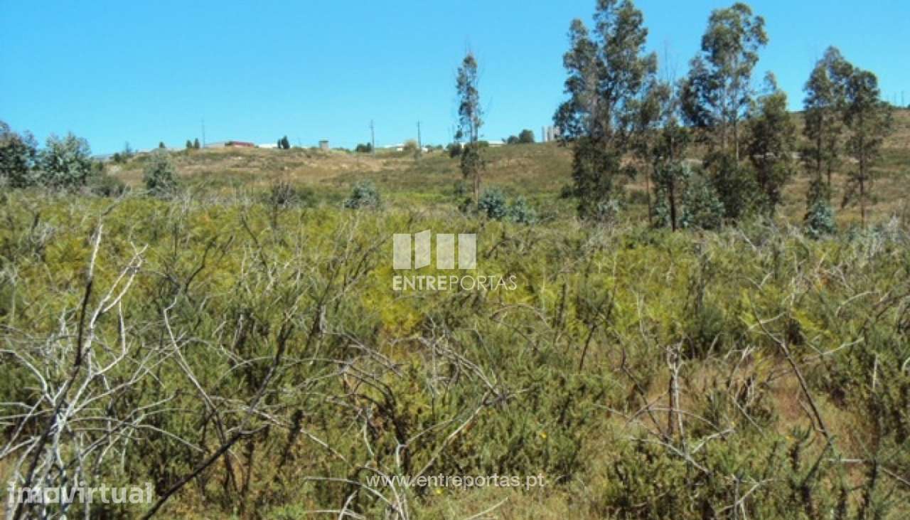 Venda Terreno, Lustosa, Lousada - Grande imagem: 4/14