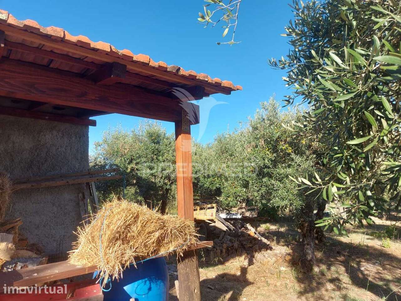 Quintinha com 5000 m2 para venda - Grande imagem: 4/10