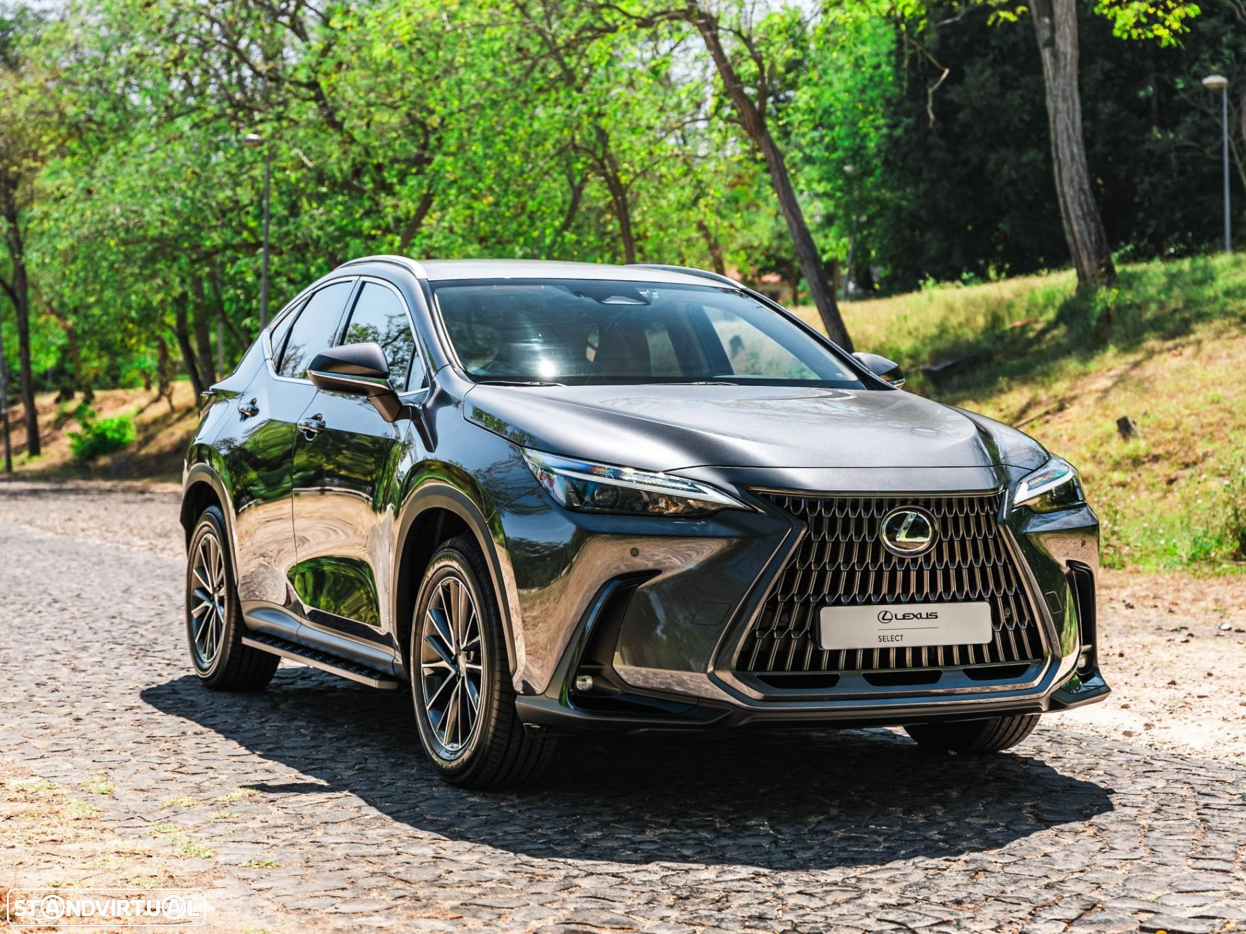 Lexus NX 450h+ - 19
