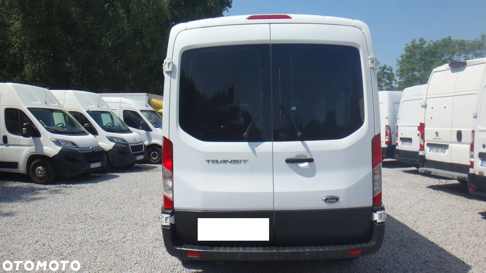 Ford TRANSIT - 6