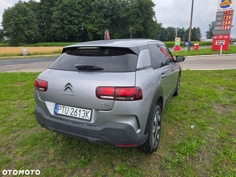Citroën C4 Cactus 1.2 PureTech GPF Feel S&S - 19