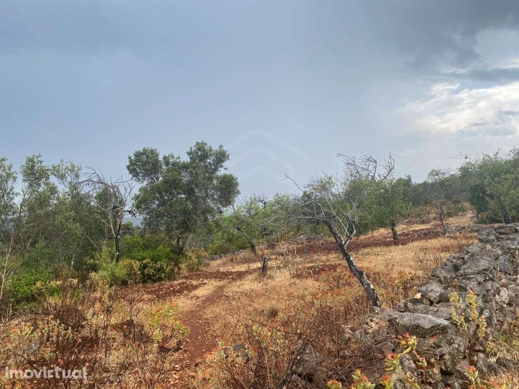 Lote de terreno rústico com a área total de 2400m2, Salir, Algarve - Grande imagem: 5/16