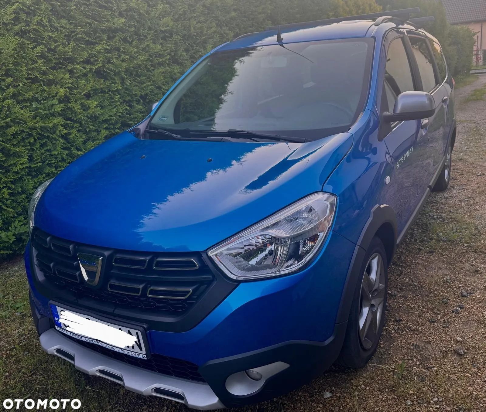 Dacia Lodgy 1.6 SCe Stepway S&S - 1