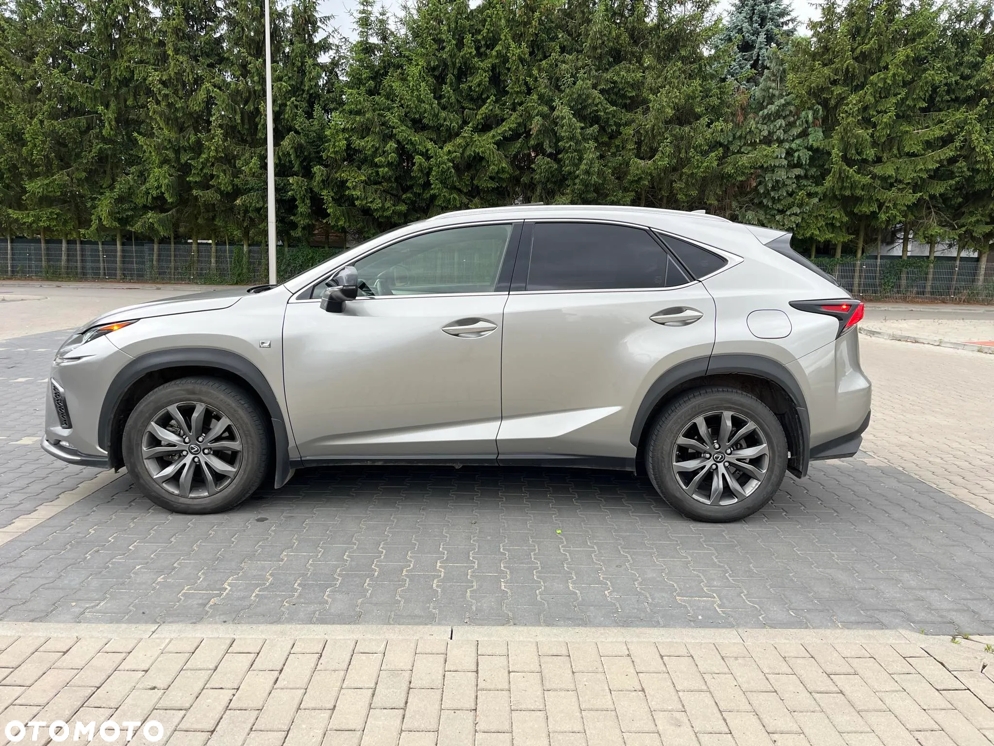 Lexus NX 300 AWD F SPORT - 8