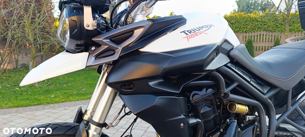 Triumph Tiger - 40
