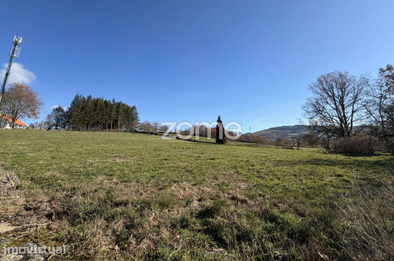 Terreno com 7.695 m2 em Montalegre - Grande imagem: 5/15