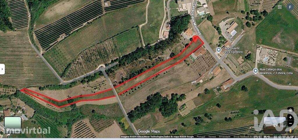 Terreno Agrícola em Cela - Grande imagem: 2/13