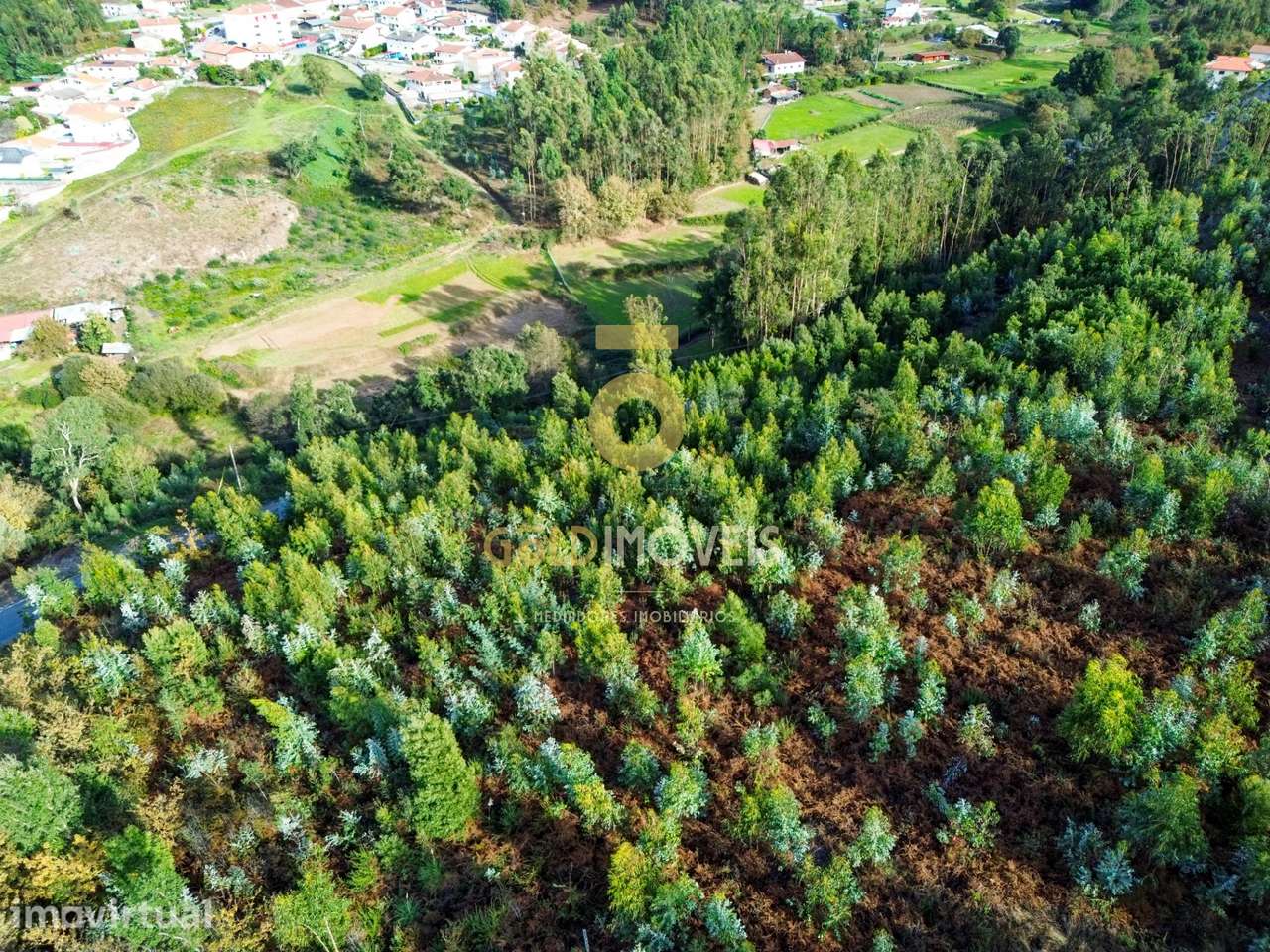 Terreno Rústico  Venda em São Roque,Oliveira de Azeméis - Grande imagem: 3/6