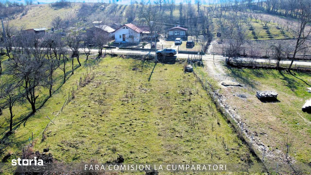 Poza 1