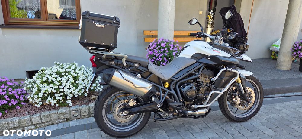 Triumph Tiger - 5