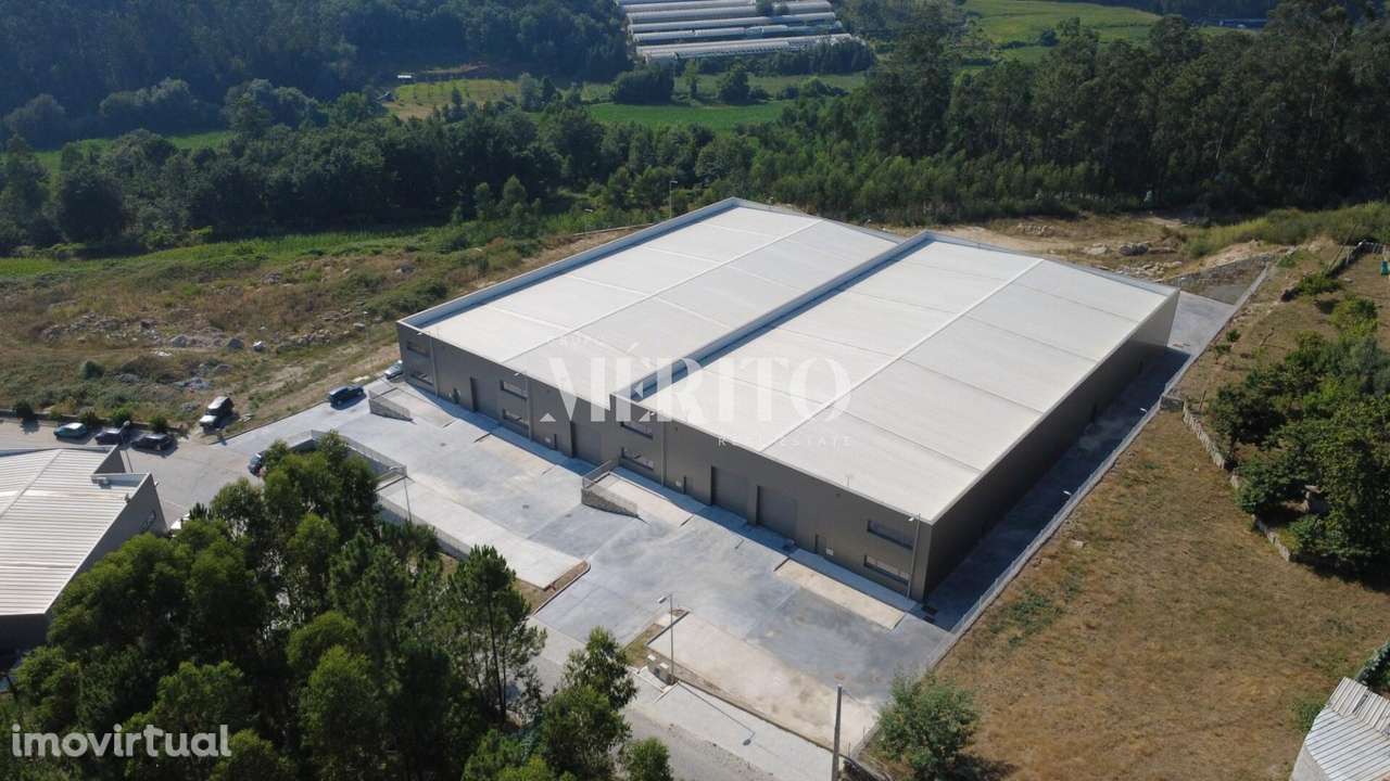 Armazém para arrendamento, Arnoso (Sta Maria) - Grande imagem: 5/21