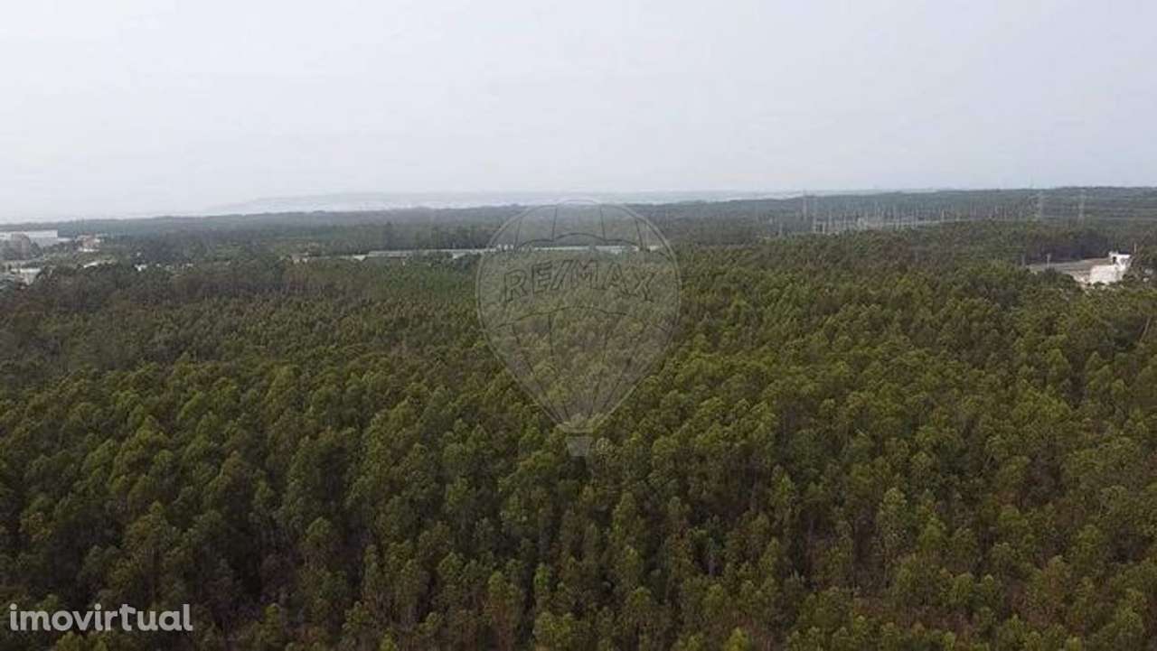 Terreno  para venda - Grande imagem: 5/12