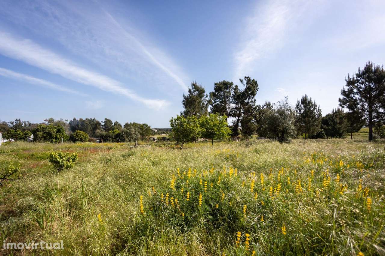 Moradia T1 -  Fajarda/ Coruche - Grande imagem: 2/10