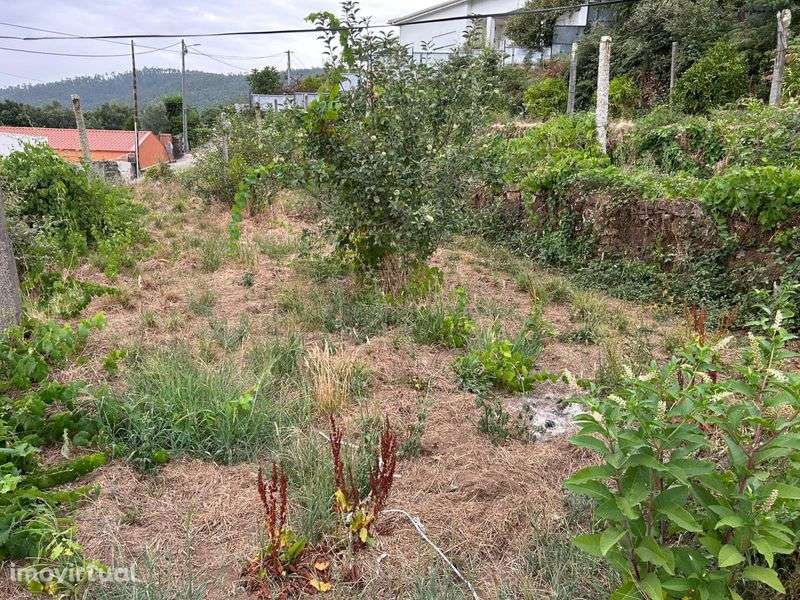 Casa T2 + terreno (5000m2) - Grande imagem: 5/12