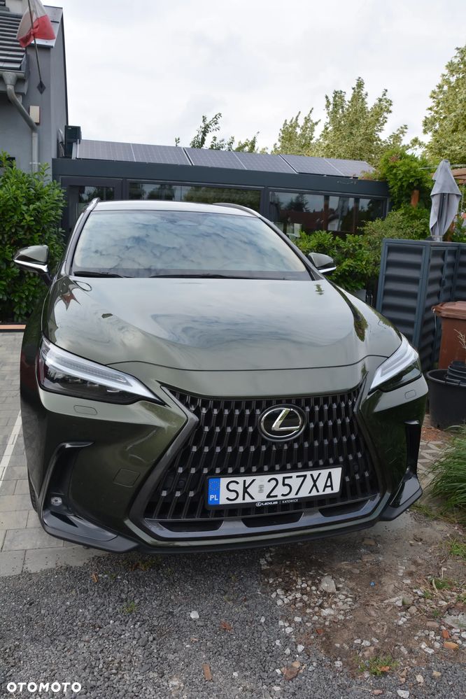 Lexus NX - 25