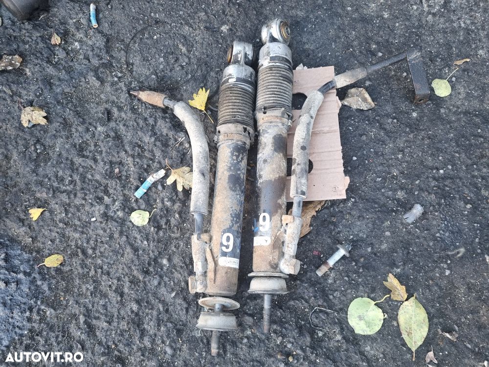 amortizoare spate cu ulei mercedes w124 - 1