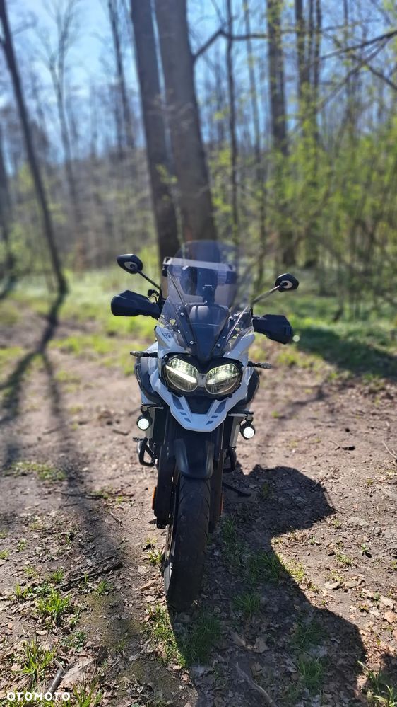 Triumph Tiger - 12