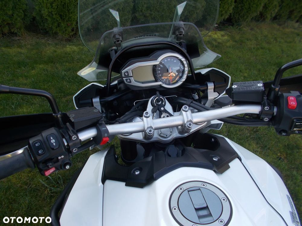 Triumph Tiger - 13