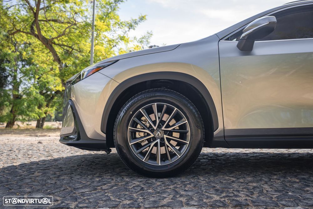 Lexus NX 450h+ - 11