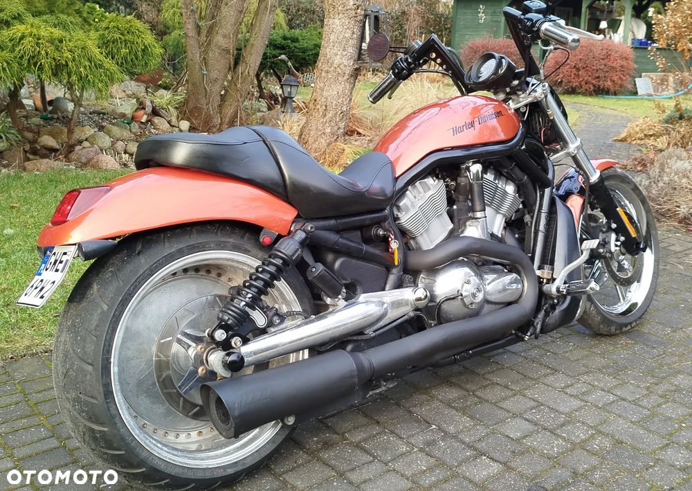 Harley-Davidson Softail V-Rod - 10