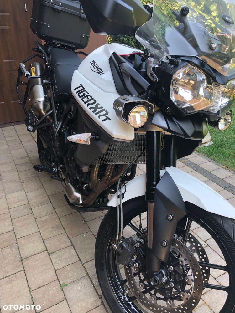 Triumph Tiger - 16