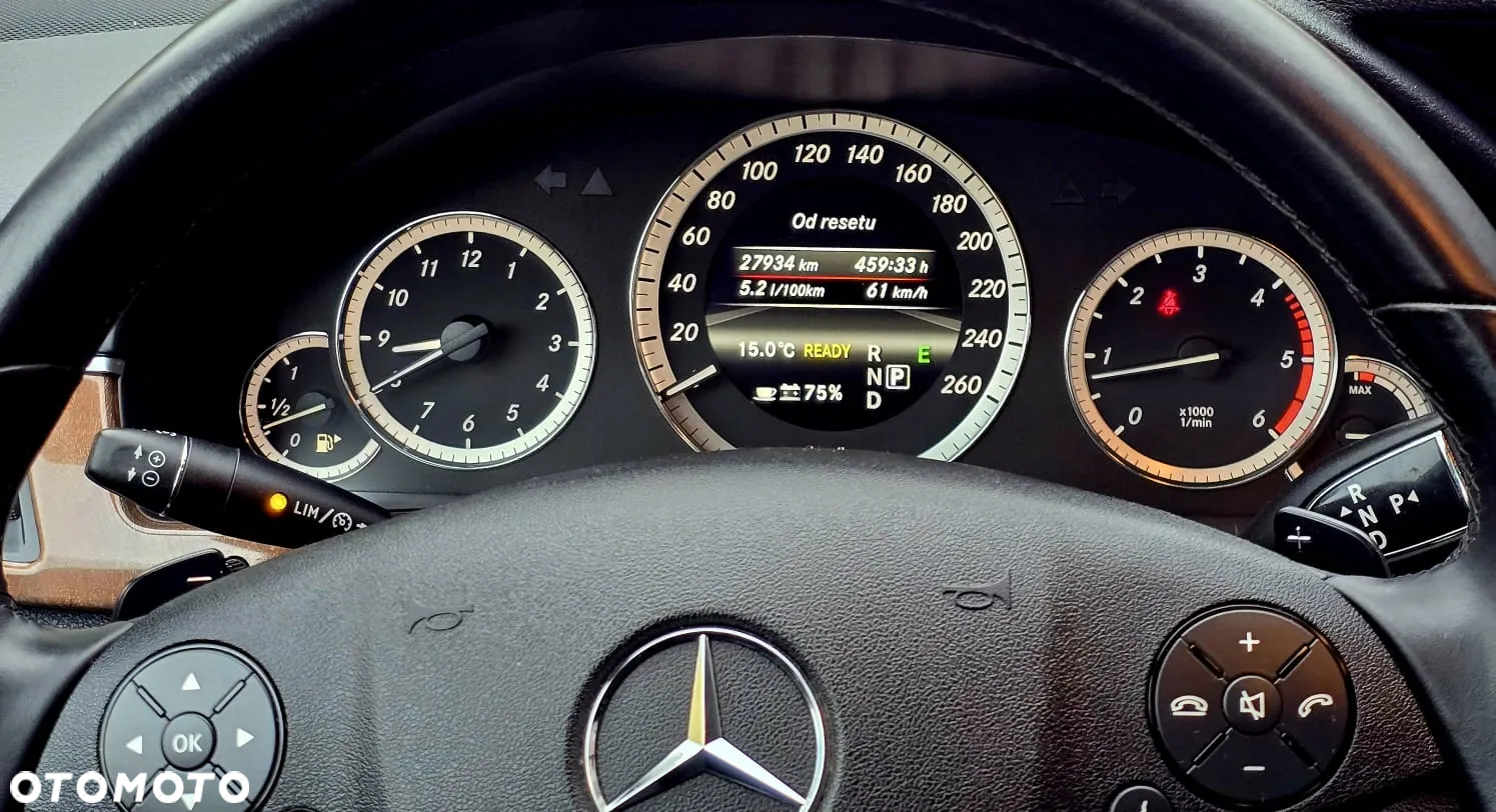 Mercedes-Benz Klasa E 300 BlueTec Hybrid Elegance - 12