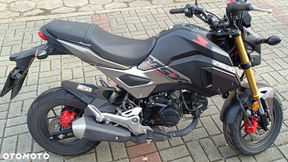 Honda MSX 125 - 7