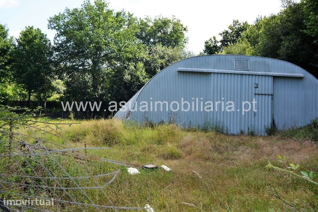 Terreno Agrícola - Sequeiros - Grande imagem: 3/9