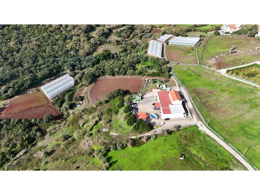 Armazém e Terrenos Rústicos para Venda em Moninhos - Loures - Grande imagem: 2/28