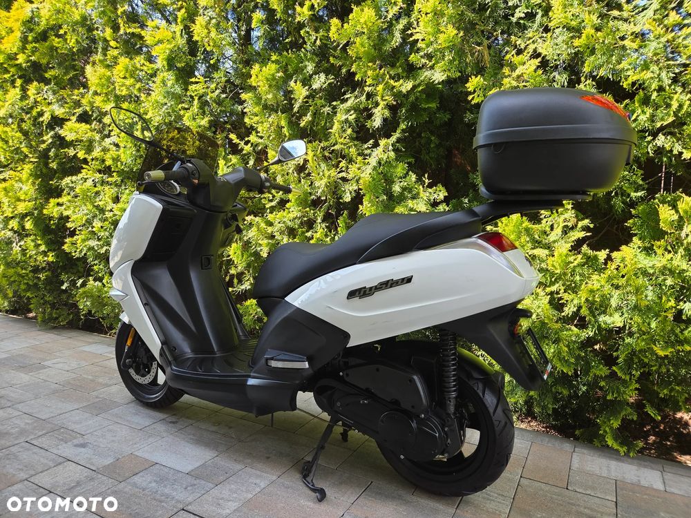 Peugeot Citystar - 6