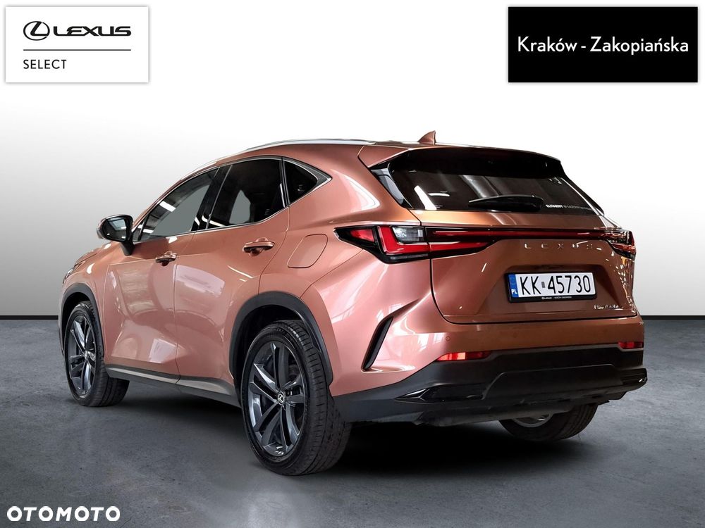 Lexus NX - 8