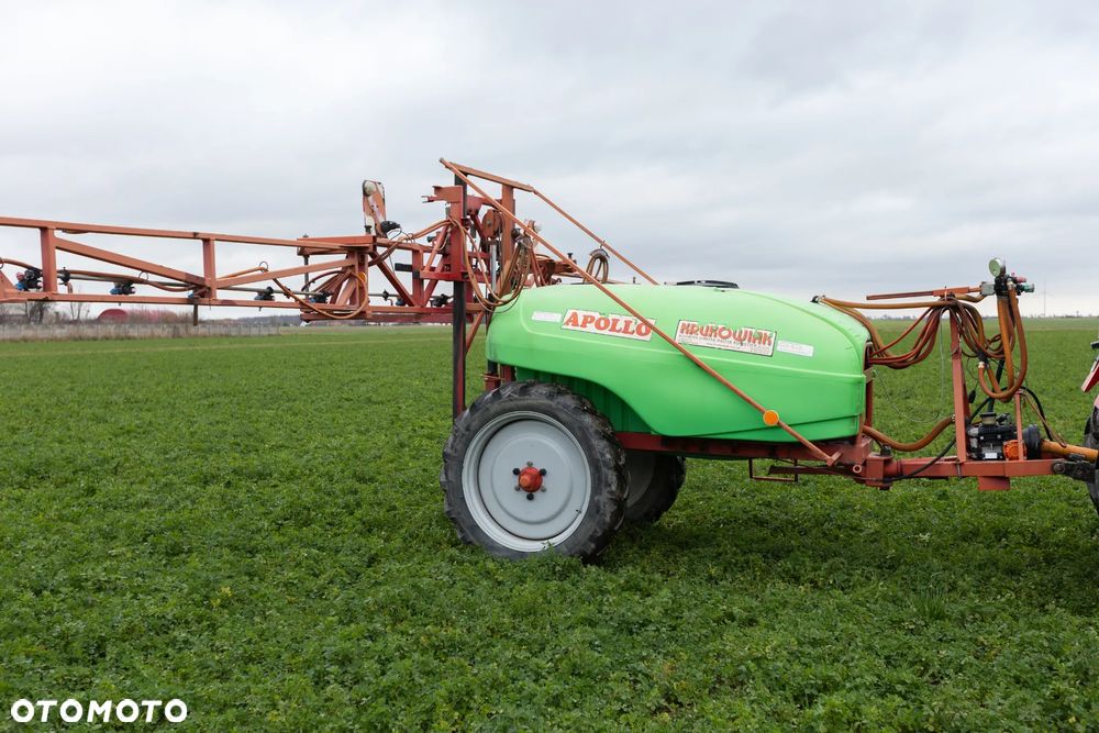 Krukowiak Apollo - 5