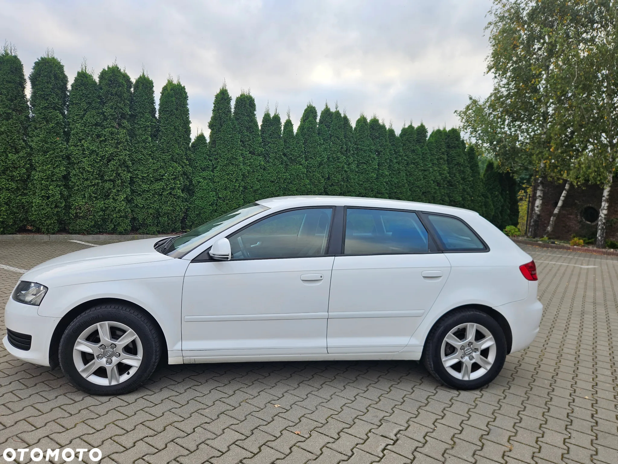 Audi A3 ver-1-6-ambition - 4
