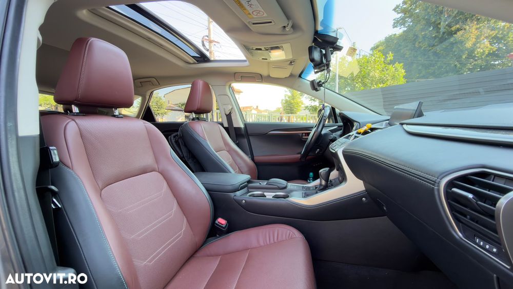 Lexus Seria NX 300 AWD Luxury Line - 15