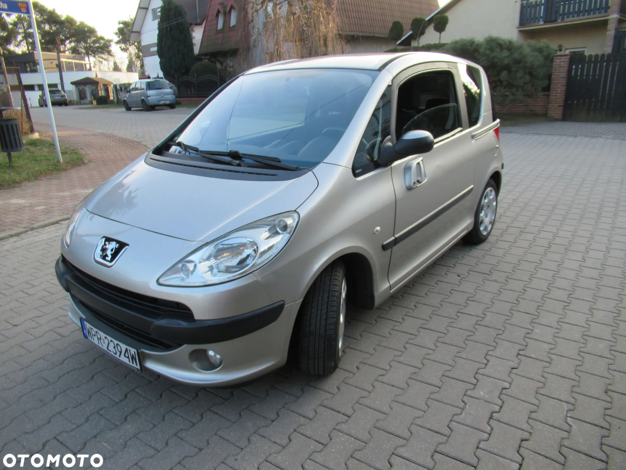 Peugeot 1007 75 Filou - 3